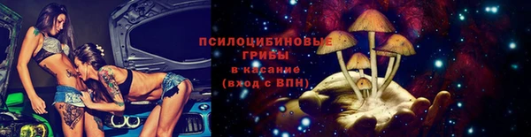 прущие крисы Нефтекумск