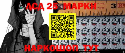 крисы Бийск