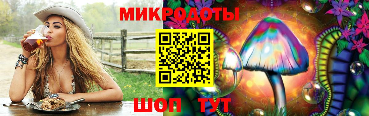 закладка  Мыски  Псилоцибиновые грибы Cubensis 