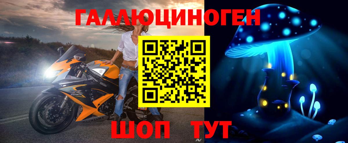 Мыски  хочу   Вход с VPN  Псилоцибиновые грибы мухоморы 